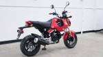 2023 Honda Grom Street Legal 125cc