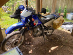 2007 Suzuki Dr 650 SE