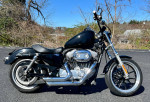 2011 Sportster 883