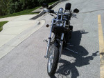 2003 Harley Davidson. FXSTB1