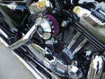 Harley Davidson Sportster 1200 Custom