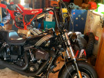 2017 HD Fat Bob