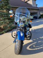 2005 Harley Springer Classic(Heritage)
