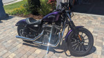 Harley 883 Sportster 2014