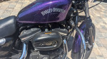 Harley 883 Sportster 2014