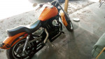 1989 Harley Davidson Sportster 1200