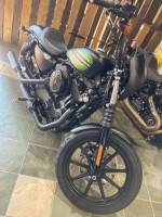 Harley Davidson Sportster 1200 Iron