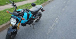 2024 honda grom 1 owner show room condition