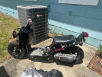 ‘09 Honda Ruckus