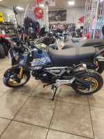 2024 HONDA GROMS!!!!!