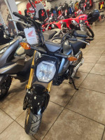 2024 HONDA GROMS!!!!!