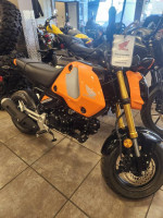 2024 HONDA GROMS!!!!!