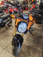 2024 HONDA GROMS!!!!!