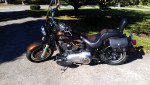 Harley Davidson fat boy lo anniversary edition-3,600 miles!