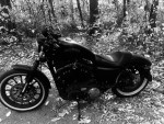 2014 Harley Davidson Sportster