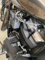 2020 Harely-Davidson Street Bob