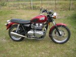 03 triumph bonneville