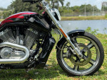 2016 HARLEY-DAVIDSON V-ROD MUSCLE®