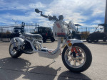 Icebear GEN IV 150cc Street Legal Automatic Scooter on super deals ||