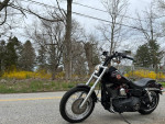 06 HARLEY DYNA (LOW MILES)