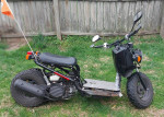 2015 Honda Ruckus NPS50 49cc (1 Owner)