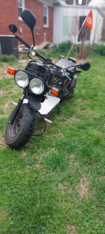 2015 Honda Ruckus NPS50 49cc (1 Owner)