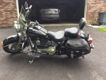 2005 Harley Softail