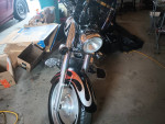 2005 Honda Shadow