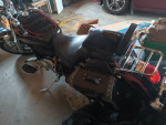 2005 Honda Shadow