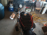2005 Honda Shadow