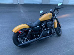 2019 Harley Sportster 883