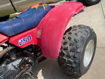 1985 Kawasaki Tecate 250 KXT250A
