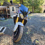 2020 BMW S1000R