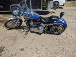 Harley Phattail  ( moving must sell)