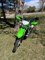 2021 Kawasaki KLX 300
