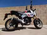 2023 Honda Grom 125 - Brand New - ABS Special Edition MSX125- 2 Miles