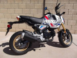 2023 Honda Grom 125 - Brand New - ABS Special Edition MSX125- 2 Miles