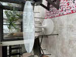 Marble Tulip Table