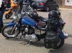 Harley Davidson Sportster 1200 Custom