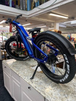 ELECTRIC E BIKE BUSINESS AND STORE FOR SALE NEWPORT BEACH CALL Fred