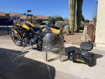 Used 1995 Harley-Davidson® FXSTC - Softail Custom