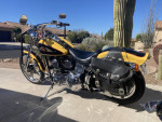 Used 1995 Harley-Davidson® FXSTC - Softail Custom