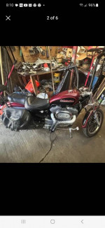 Harley