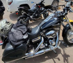 2011 Harley Davidson FXDC cruiser