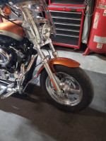 2015 HD 1200 Sportster