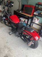 2023 Harley Davidson Street Bob 114