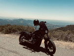 2018 Harley Street Bob FXBB
