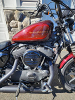 2019 Harley-Davidson XL1200XS Forty-Eight Special. Low Miles..