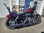 2019 Harley-Davidson XL1200XS Forty-Eight Special. Low Miles..