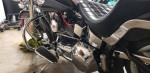 2006 Harley Softail Deluxe - low mileage